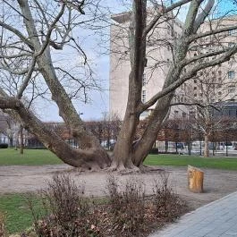 Olimpia park Budapest - Külső kép