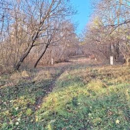 Régi torbágyi kálvária Biatorbágy - Külső kép