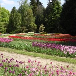 Vácrátóti Arborétum Vácrátót - Külső kép