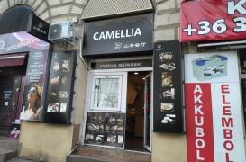 Camellia Resturant Budapest