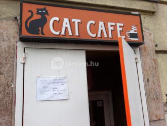  Cat  Caf  Damjanich  utca  Budapest  J rt l m r itt 