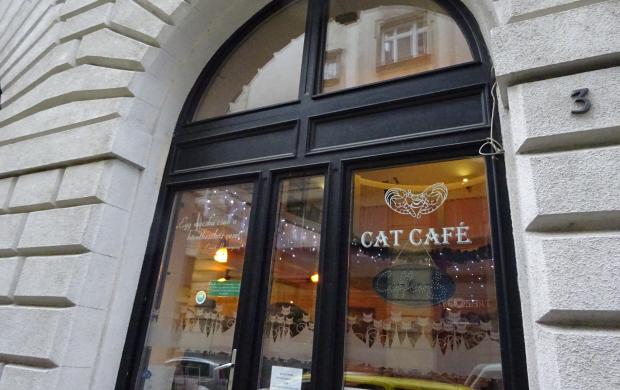  Cat  Caf  R vay utca  Budapest  J rt l m r itt Olvass 