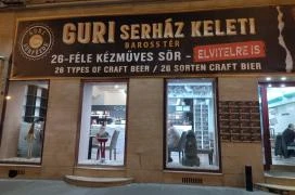 Guri Sörminta Keleti Budapest