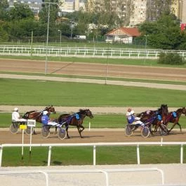 Kincsem Park Budapest - Egyéb