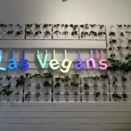 Las Vegan's - Etele Plaza Budapest - Egyéb