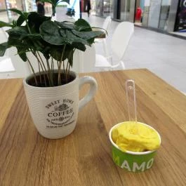 Mamo Gelato - Etele Plaza Budapest - Egyéb