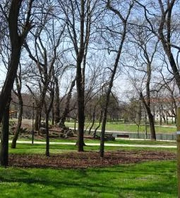 Kalandparkok Budapesten. Melyik a legjobb budapesti kalandpark