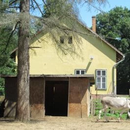 Pósteleki Szabadidő Park Békéscsaba - Egyéb