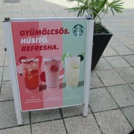 Starbucks Golden Bull Debrecen - Egyéb