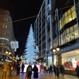 Vörösmarty téri adventi vásár Budapest - Egyéb