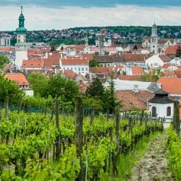 Idegenvezetés Sopron történelmi belvárosában Sopron - Egyéb