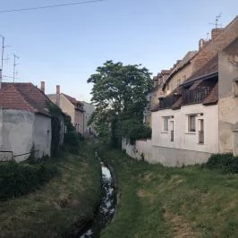 Festőköz Sopron - Egyéb