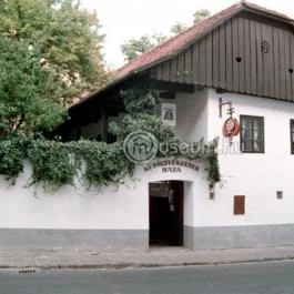 Ferenczy Múzeum - Népművészetek Háza Szentendre - Egyéb