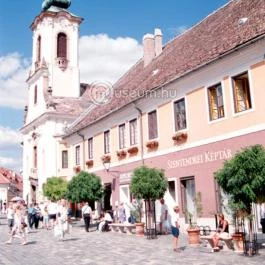 Szentendrei Képtár - Ferenczy Múzeumi Centrum Szentendre - Egyéb