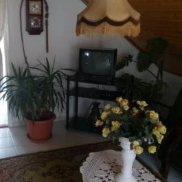 Vali Apartman Zalakaros - Egyéb