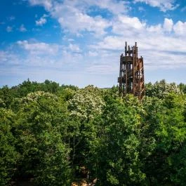 Zselici Csillagpark kilátója Zselickisfalud - Egyéb